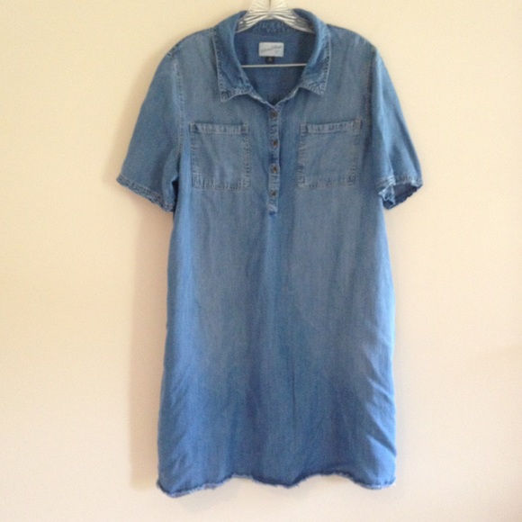 plus size chambray shirt dress